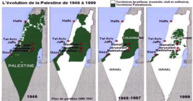 carte palestine 1948