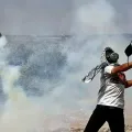palestiniens blesses